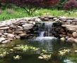Pond care in May